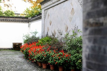 IMG_6098-1