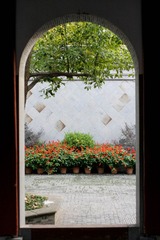 IMG_6103-1