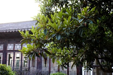 IMG_6105-1
