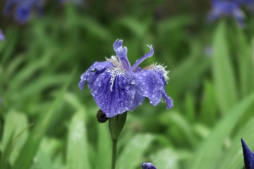 F1B5B57C-EB07-45F9-860C-0D2D5F94F390/L0/001