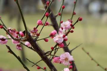 2F0DFEA7-26FA-4A5C-A237-FF5F263E97ED/L0/001
