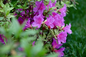 0C9927BE-8F54-401A-AE88-58EE7C8457BE/L0/001
