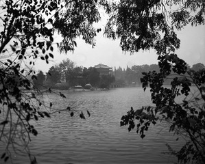 @Untitled-8