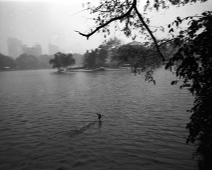 @Untitled-9