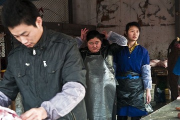 @DSC_6331.jpg