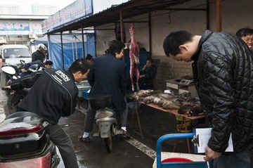 @DSC_6634.jpg