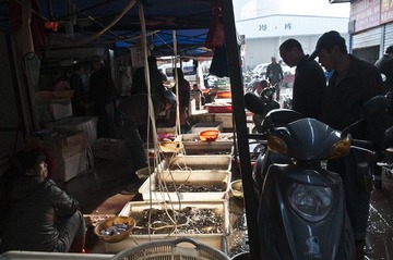 @DSC_6645.jpg