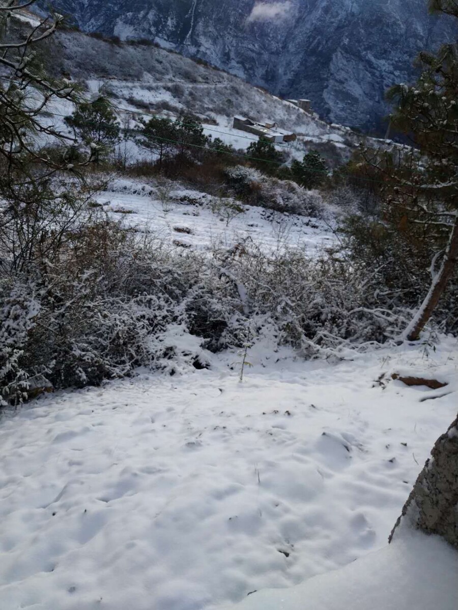 瑟瑟发抖