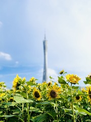 145767DE-F5C1-4B2E-89D9-B03C7FBFECAE/L0/001