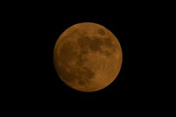 971358
