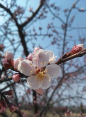 IMG_20170405_142951