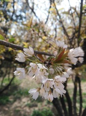IMG_20170402_121242