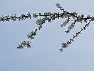 1258124