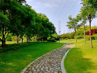 1296244