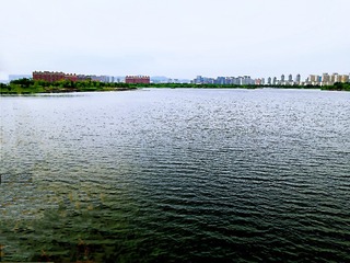 1303188
