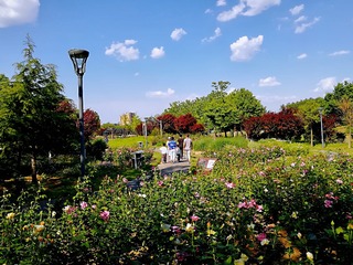 1290635