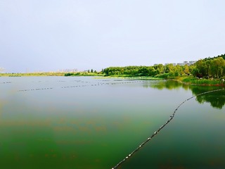 1306246