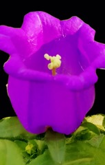 1256026