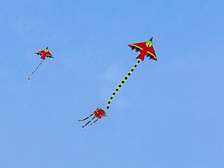 1252351