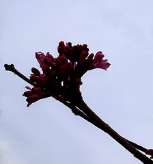 1258121
