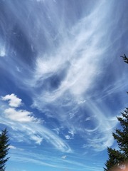 688