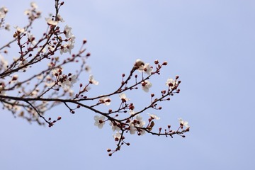 394DC22A-2EDB-4110-9086-B39257B91D96/L0/001