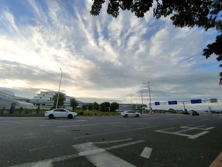 1000012371