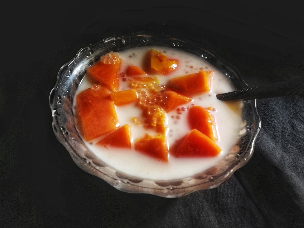 手机随拍木瓜椰汁西米露