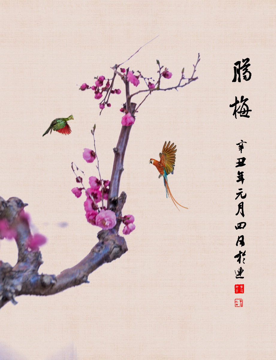 红梅绽放迎佳节喜鹊登枝瑞气来