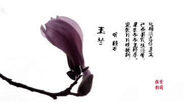 1058634