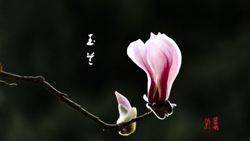 1058635