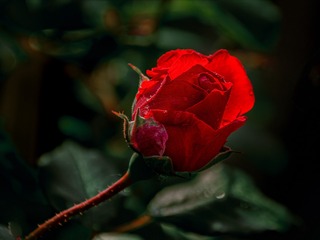 4107390