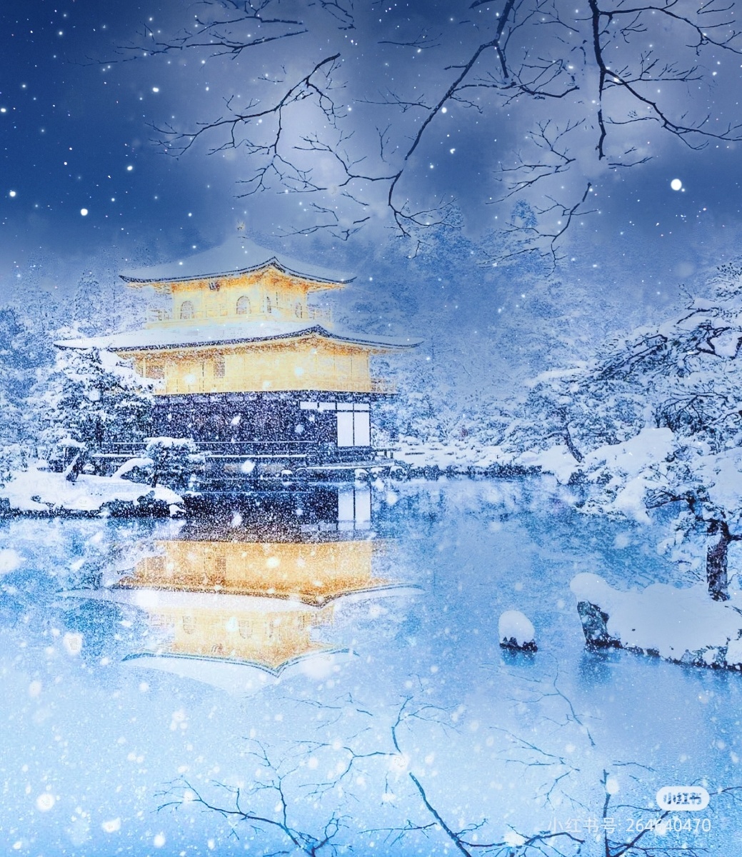 雪中的京都金阁寺如梦似幻仿似亚洲版中世纪的童话建筑