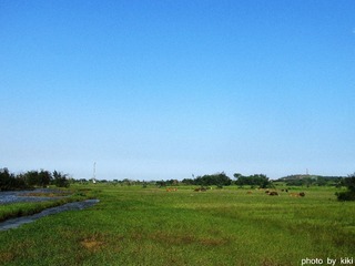IMG_5545__