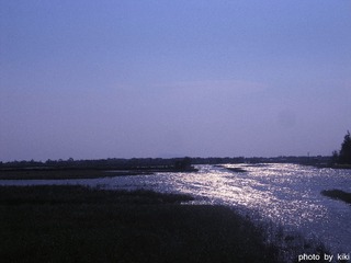 IMG_5547__