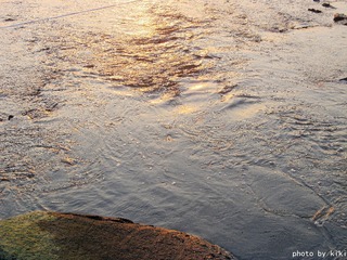 IMG_5506__