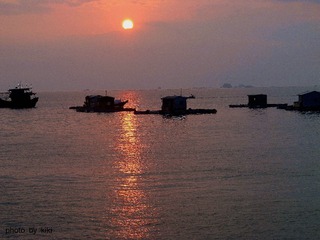 IMG_5153___