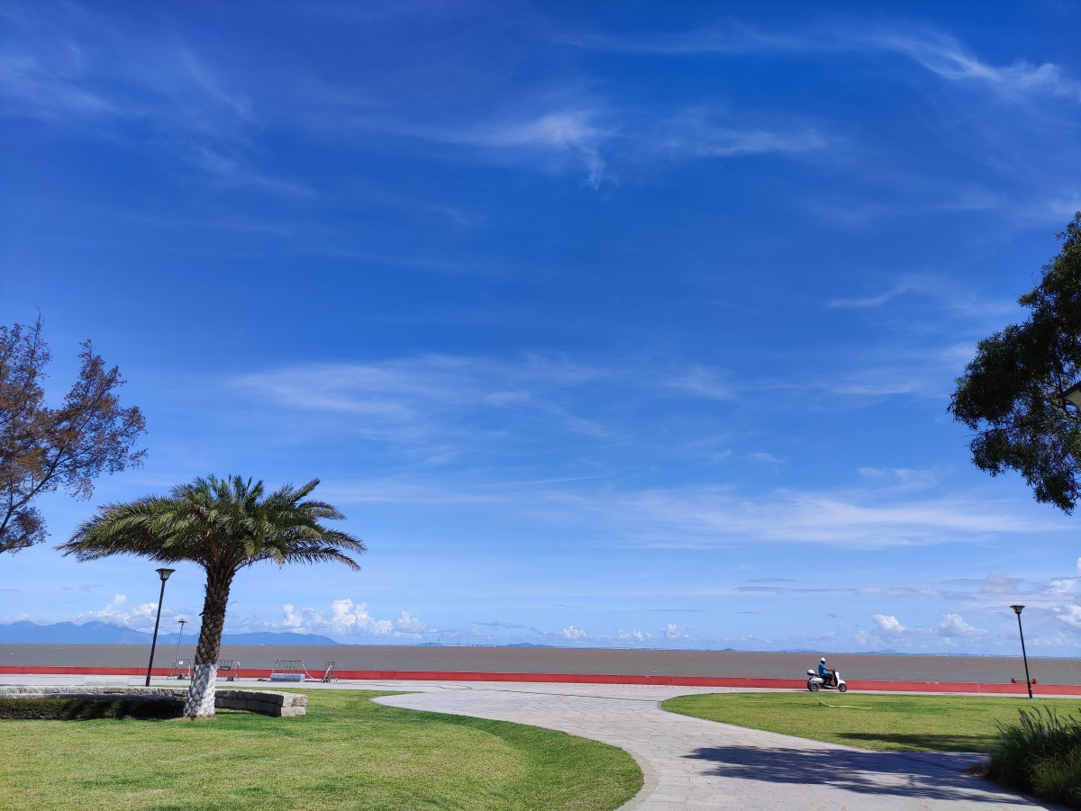 广州坦尾原相机