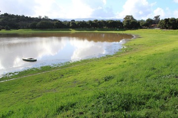 Lake Lagunita 6
