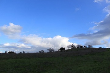 Dish 1