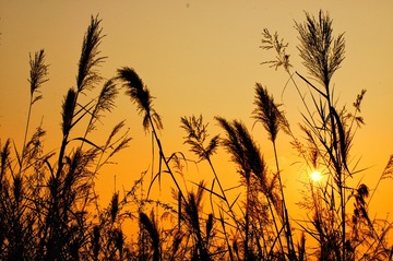 5B92F56B-C1C0-40BA-885F-3FB47803727C/L0/001