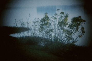 4A2B25E6-A187-4931-9F0F-AC87780E5FD4/L0/001