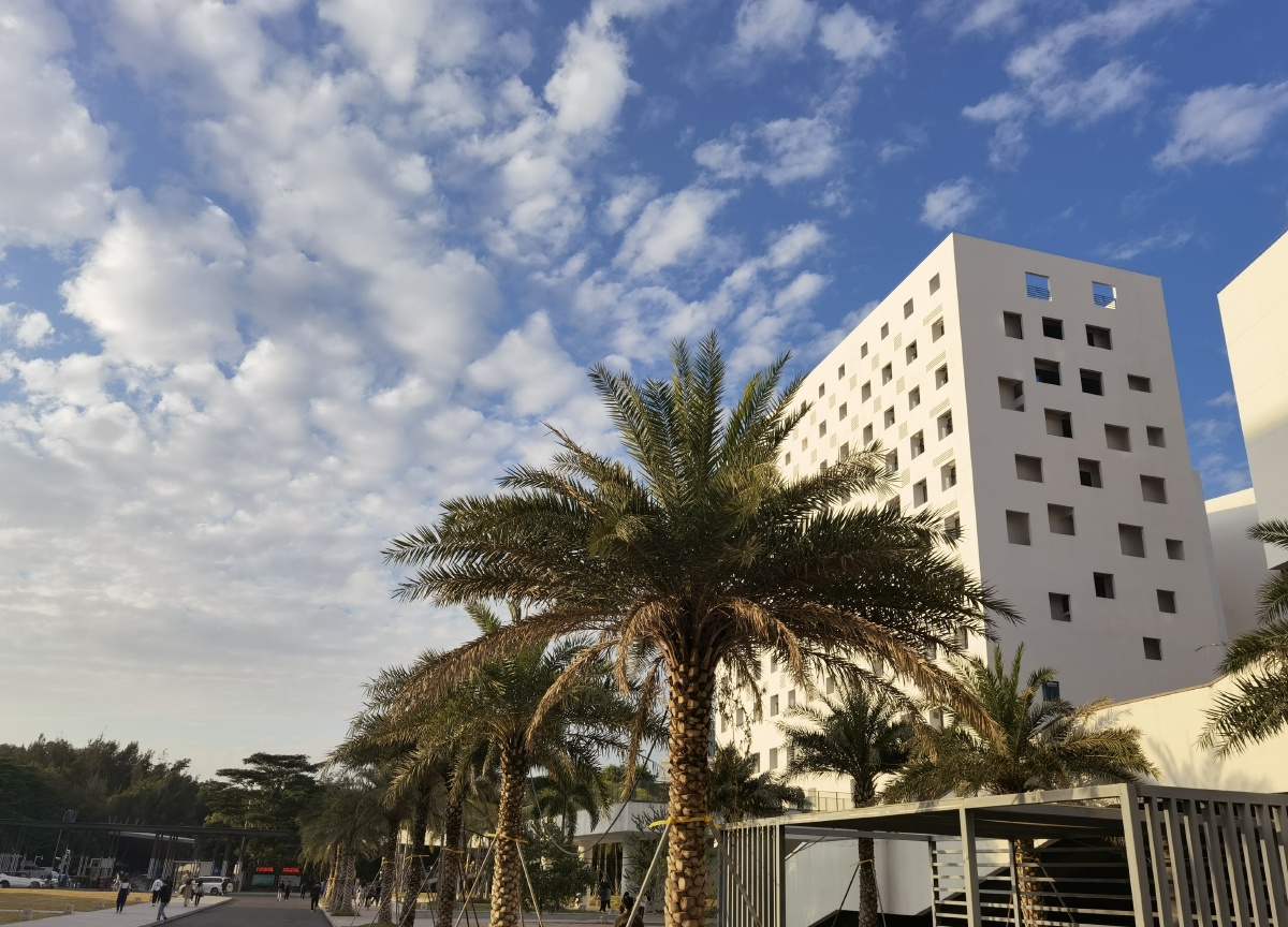 深圳大学风景照片