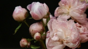 F297C8C6-171A-4E26-B183-C2D9E6B9F85F/L0/001