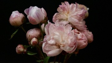 9D984AF4-9909-4D8F-B96E-53E7C1065B26/L0/001