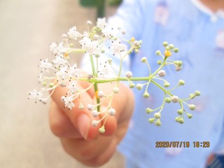 4A143D54-4975-4F29-B344-7A3F86EB82D7/L0/001