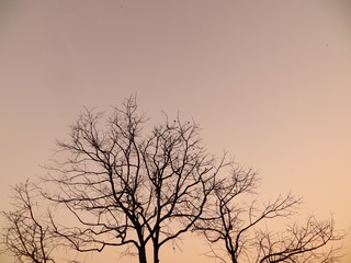 5B6E15F5-3824-43DA-AA56-6F77F39B6328/L0/001