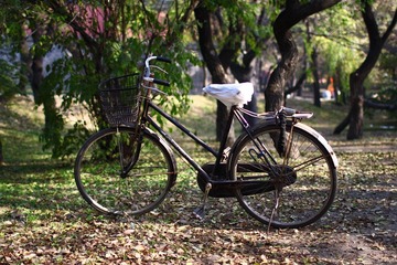 車