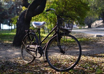 車