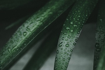 9F1841FA-3F86-4B5E-AF27-A2C21F25D47B/L0/001